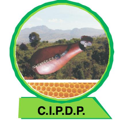 CIPDP